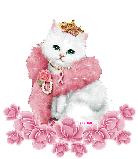 White cat wearing pink accessories and crown